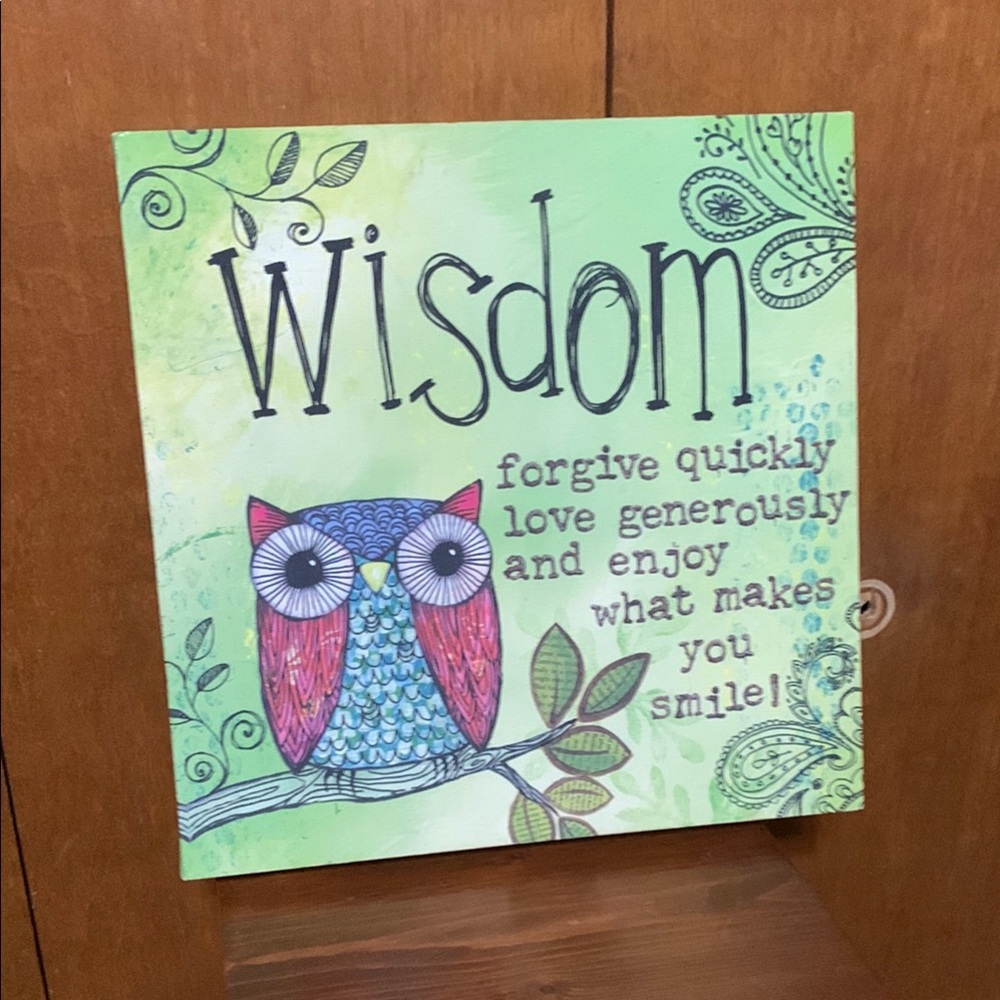 Colorful Owl Wisdom Wall Art